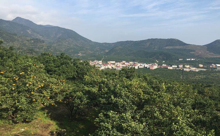 图片 11 (001) 图片11(001)